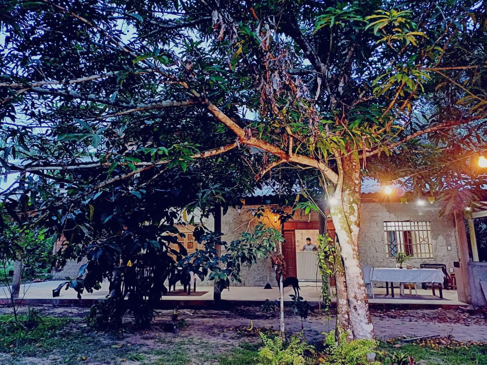 Eco Sitio O Labirinto Do Fauno Hotel Mosqueiro  Exterior foto